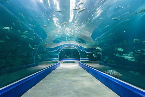 Yeosu Aquarium
