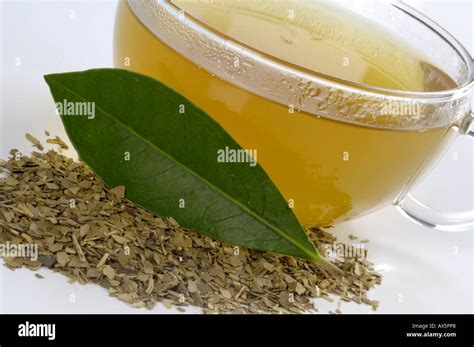 Yerba stock. We would like to show you a description here but the site won’t allow us. 