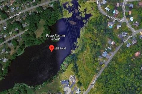 474px x 315px - Yes There Really is a Busta Rhymes Island Complete With a Beaver and Rope  Swing