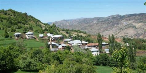 Yesilcukur Halı ve Koltuk Yıkama