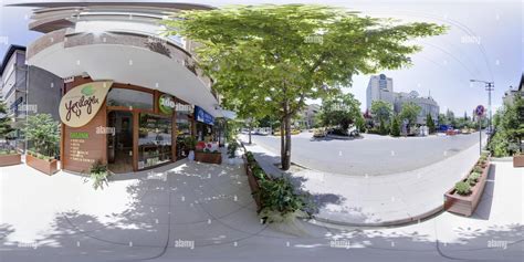 Yesiloglu Halı ve Koltuk Yıkama