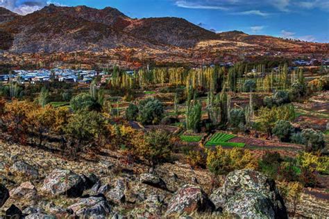 Yesiltekke Halı ve Koltuk Yıkama