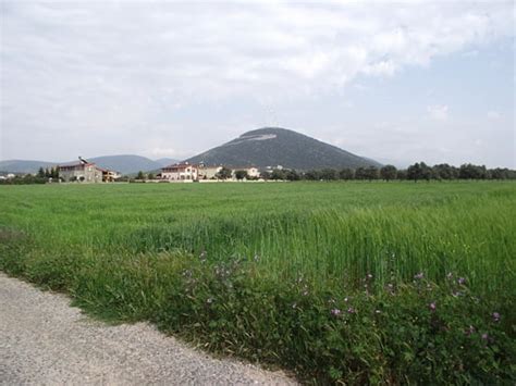 Yesiltepe Halı ve Koltuk Yıkama