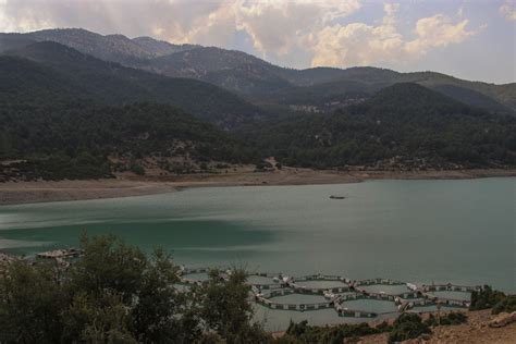 Yesilyayla Halı ve Koltuk Yıkama