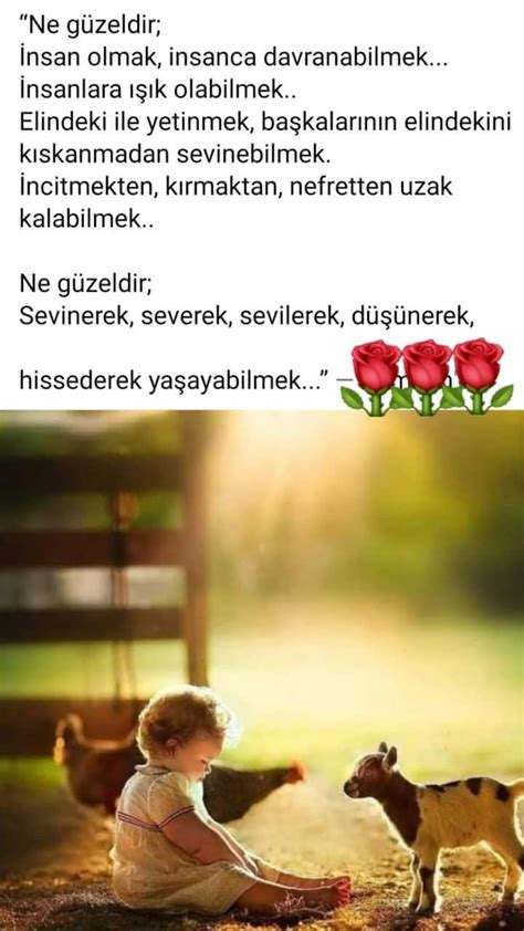 Yetinmek: Elindeki ile yetinmesi gerektiği küçük yaşta öğretilmişti.