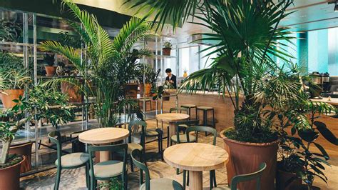 Yikin Halı ve Koltuk Yıkama