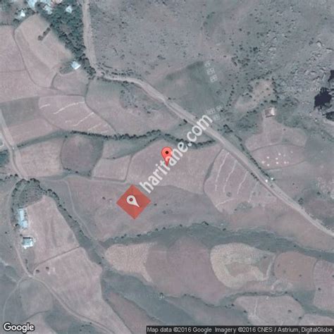 Yiltaric Halı ve Koltuk Yıkama