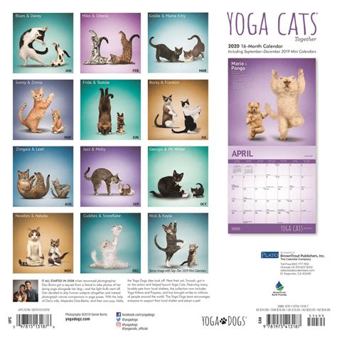 Yoga Cat Calendar 2020 yoga cat calendar, yoga calendar for 2020