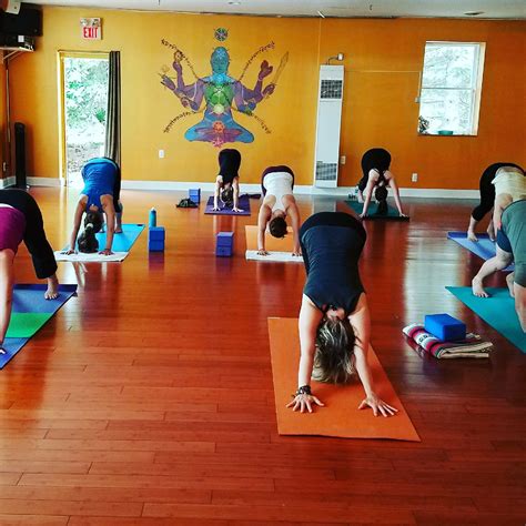 Yoga ann arbor. Nov 29, 2017 ... Yoga and cats are both popular on their own. In Ann Arbor, the combination of the two has helped the Humane Society of Huron Valley to ... 
