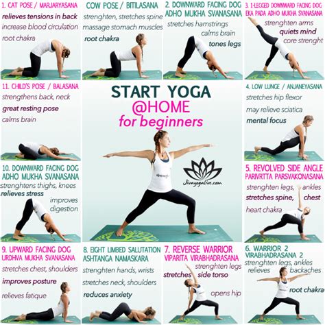 Yoga for beginners a quick start yoga guide to burn fat strengthen your mind and find inner peace. - Operation manual for volvo loading shovel.