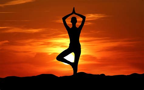 Yoga international yoga. Yoga is not just a physical exercise, it’s a way of life. It can help you relax, stay fit, and improve your overall health and well-being. If you’re looking for a yoga studio near ... 