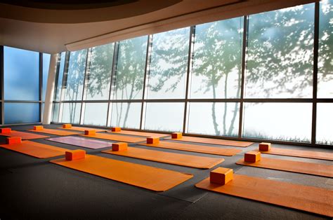 Yoga stuido. Yoga Studio Design Themes. The following are some design themes that might inspire you and direct you. The outdoors inside: a nature theme which may include nature sounds, trees/plants, wood, etc. Urban: wood, glass, steel, and concrete. Industrial: Exposed ceilings, concrete, steel, brick. 