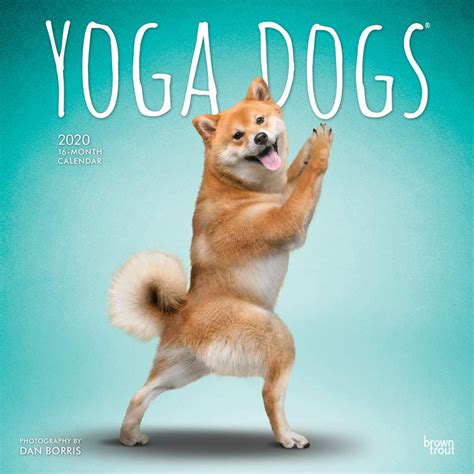 Read Yoga Dogs 2020 12 X 12 Inch Monthly Square Wall Calendar Animals Humor Dog By Not A Book