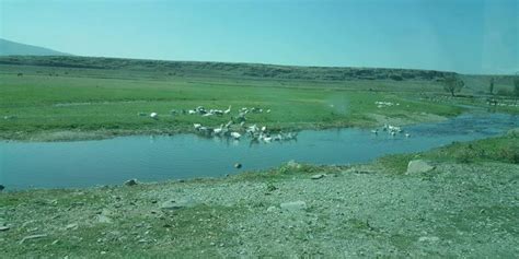 Yolgecmez Halı ve Koltuk Yıkama