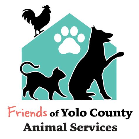 Yolo county animal services shelter. Things To Know About Yolo county animal services shelter. 