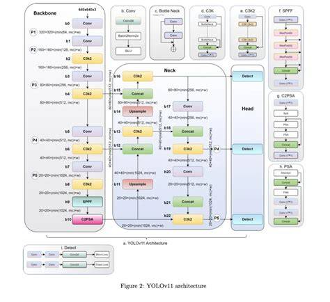 Yolov11 architecture paper.  As this comparison focused on selecting the backb...