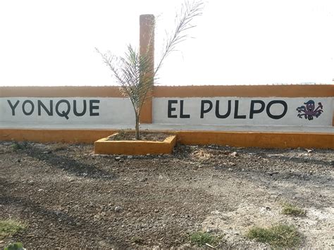 Yonke el pulpo santa fe springs. Find 2 listings related to El Pulpo Yonke in Santa Fe Springs on YP.com. See reviews, photos, directions, phone numbers and more for El Pulpo Yonke locations in Santa Fe … 