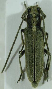 Yorecik Halı ve Koltuk Yıkama