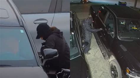 York police release results of extensive campaign to reduce auto theft