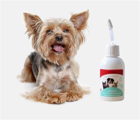 Yorkie Ear Cleaning Kit