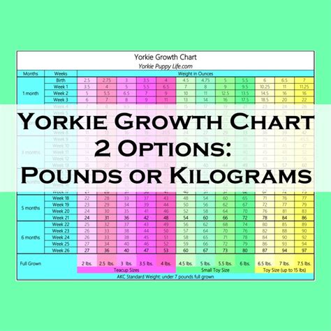The Yorkie Growth Calculator helps you estimate the weight of a Y