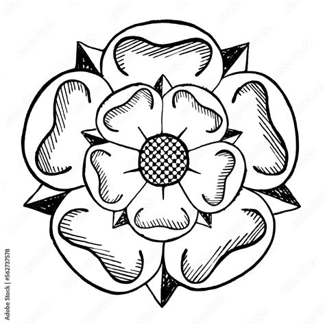 Yorkshire Rose Images – Browse 1,111 Stock Photos, Vectors, …