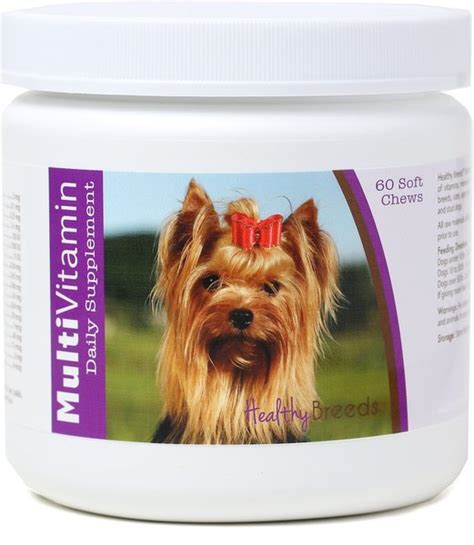 Image of a Yorkshire Terrier taking supplements