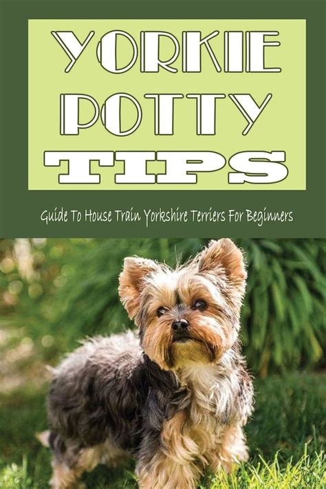 Effective Potty Training Methods