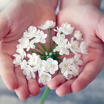 Yorkton obituaries archives.  Obituaries In Yorkton - Saskatchewan.  Offer condolence...