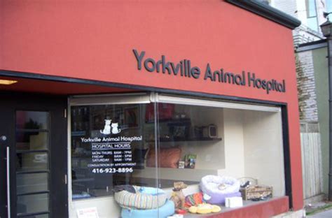 Yorkville animal hospital. Things To Know About Yorkville animal hospital. 