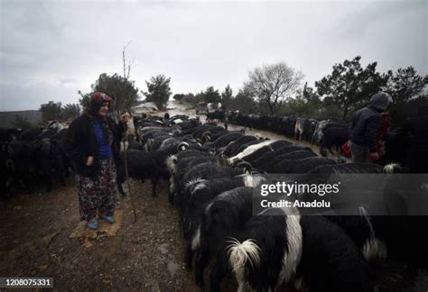 Yoruk Halı ve Koltuk Yıkama