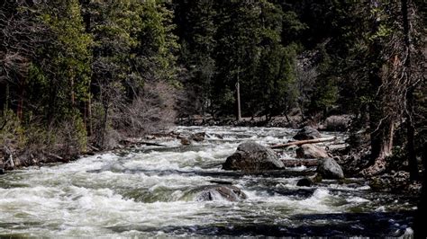 Yosemite hiker swept away by fast-flowing creek