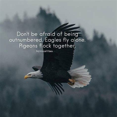 You Don t Have to Be an Eagle to Fly