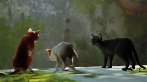 You can now play Stray in splitscreen multiplayer TechRadar