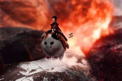 You can ride Fat Cat as a mount in Final Fantasy 14 now - Polygon