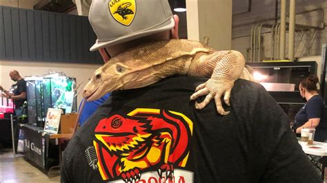 You could win VIP tickets to the Reptile Supershow at the Fairplex in Pomona