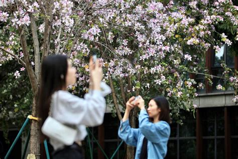 Young Flores Instagram Ganzhou