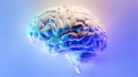 Young blood rejuvenates old brains Nature Medicine