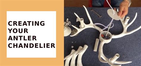Your Antler Onlyfans Leak