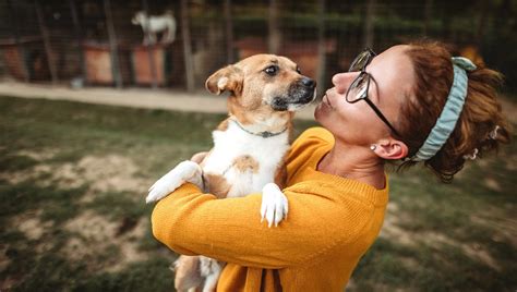 Your Checklist Of Questions To Ask When Choosing A Shelter Dog