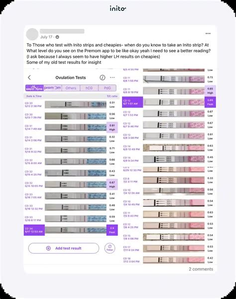 Your Complete Guide to Ovulation Testing Progression