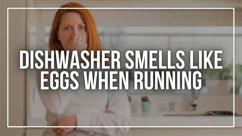 Your Dishwasher Smells Like Rotten Eggs? This Might Be Why