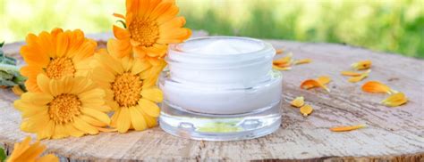 Your Guide to Calendula What It Is, Benefits & Uses