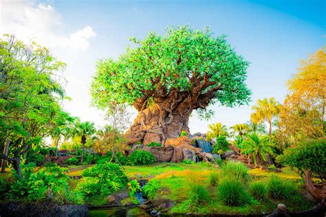 Your Guide to Disney’s Animal Kingdom Theme Park in Orlando VISIT FLORIDA