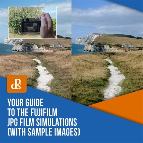 Your Guide to the Fujifilm JPG Film Simulations (with Sample Images)