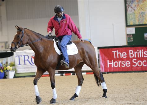 Your Horsemanship - Online Horse Training with Jason Webb