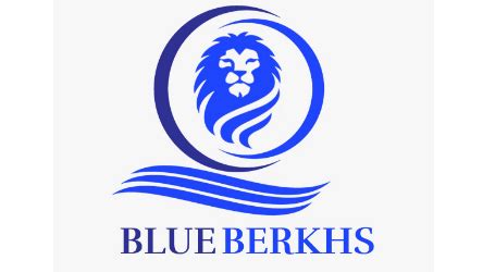 Your Partner in Financial Growth - About Us - Blue Berkhs