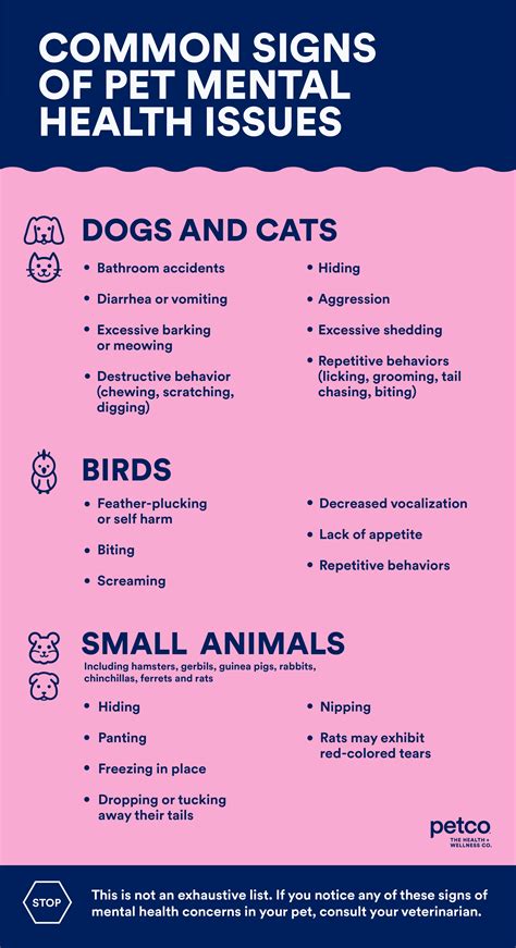 Your Pet Wellness Checklist Petco