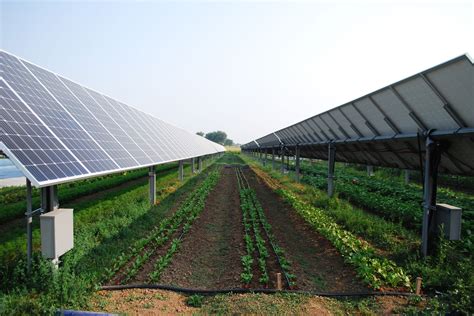 Your Rooftop Garden Could Be a Solar-Powered Working Farm