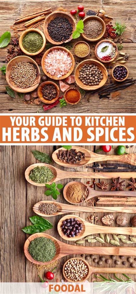 Your Ultimate Guide to Kitchen Herbs and Spices